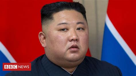 social article from txepc|Coreia do Norte: o que é songbun, o modelo social que .